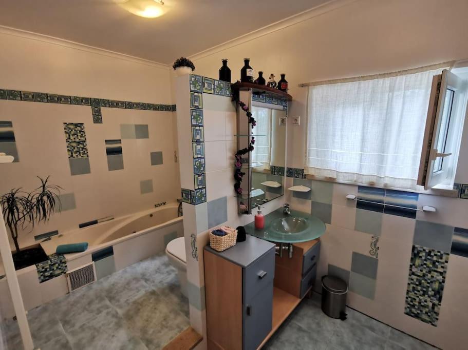 Cantinho Da Alice Family Villa Sertã 외부 사진