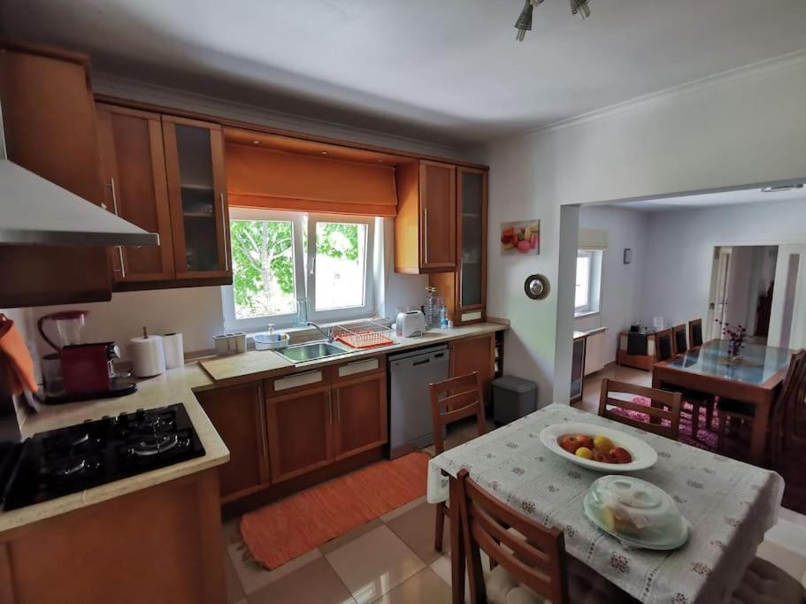 Cantinho Da Alice Family Villa Sertã 외부 사진