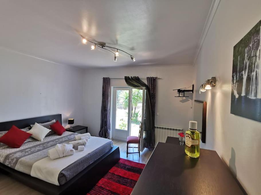 Cantinho Da Alice Family Villa Sertã 외부 사진