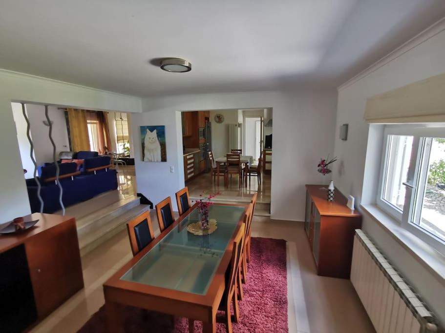 Cantinho Da Alice Family Villa Sertã 외부 사진