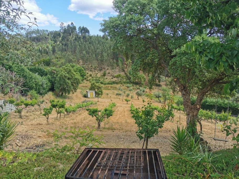 Cantinho Da Alice Family Villa Sertã 외부 사진