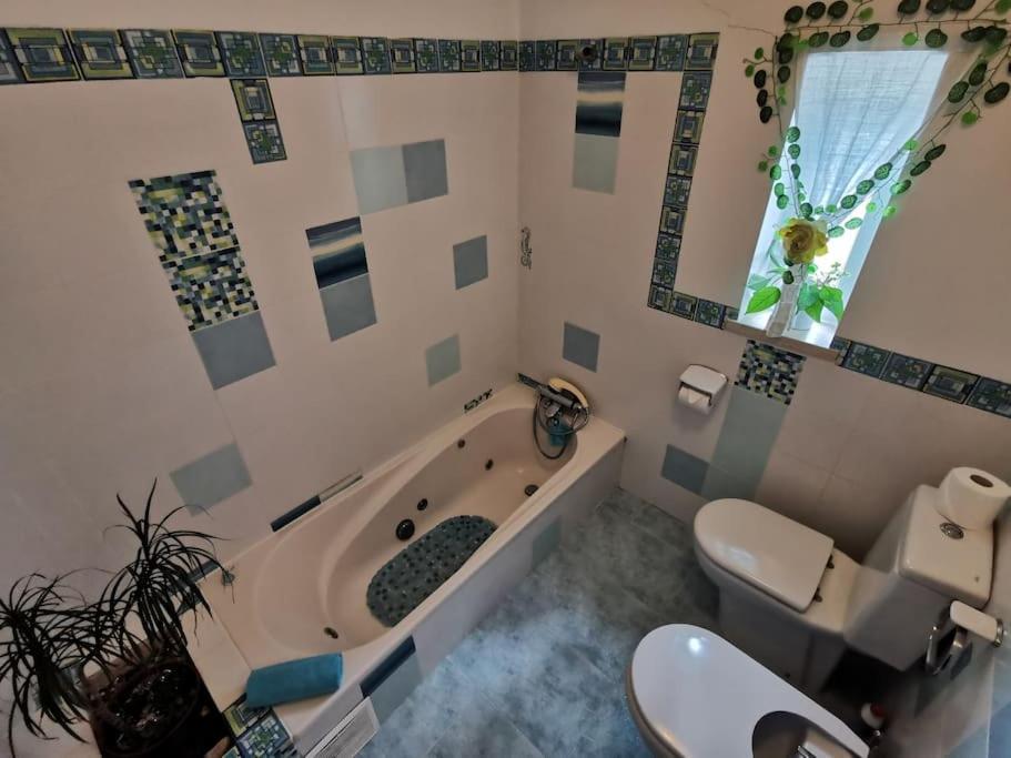 Cantinho Da Alice Family Villa Sertã 외부 사진