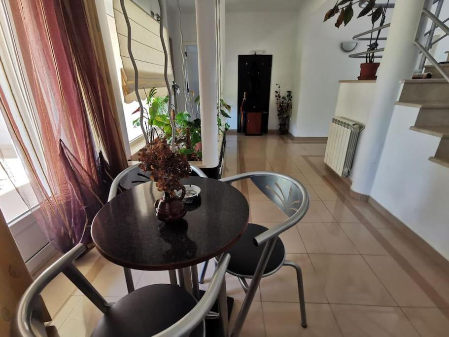 Cantinho Da Alice Family Villa Sertã 외부 사진