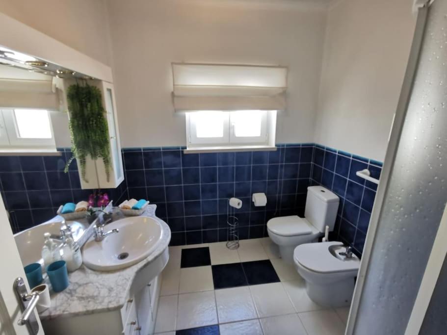 Cantinho Da Alice Family Villa Sertã 외부 사진
